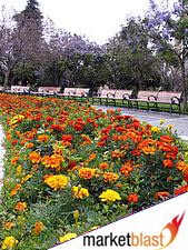 Click to see next picture