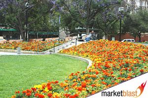 Click to see next picture