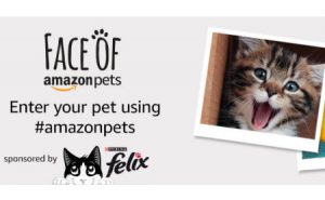 Amazon UK Pet Contest